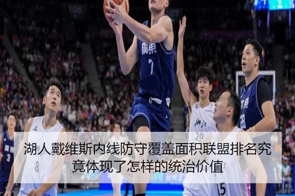湖人戴维斯内线防守覆盖面积联盟排名究竟体现了怎样的统治价值